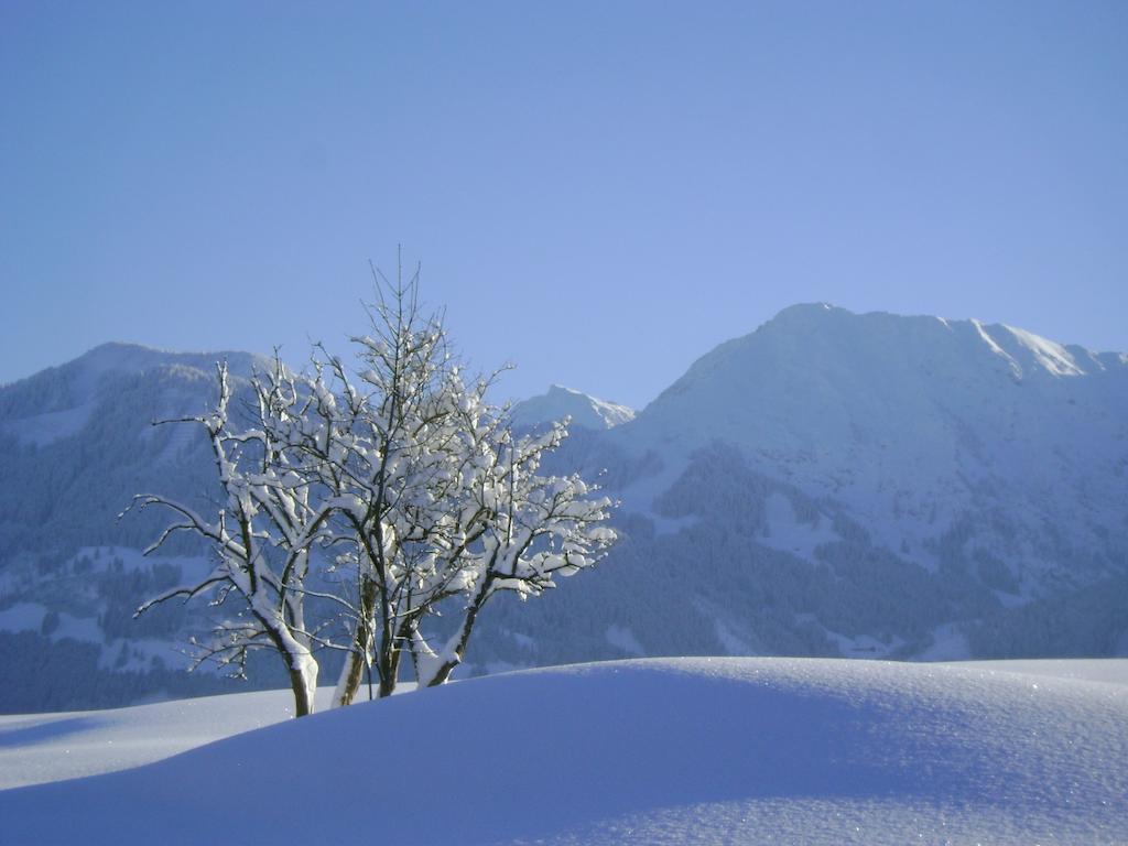 Landhaus Berktold Obermaiselstein Exterior photo